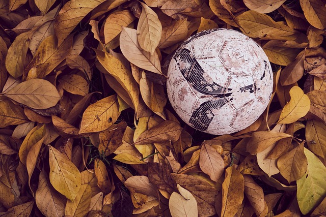 伊布怒了！炮轟FIFA21憑什麼用我臉.