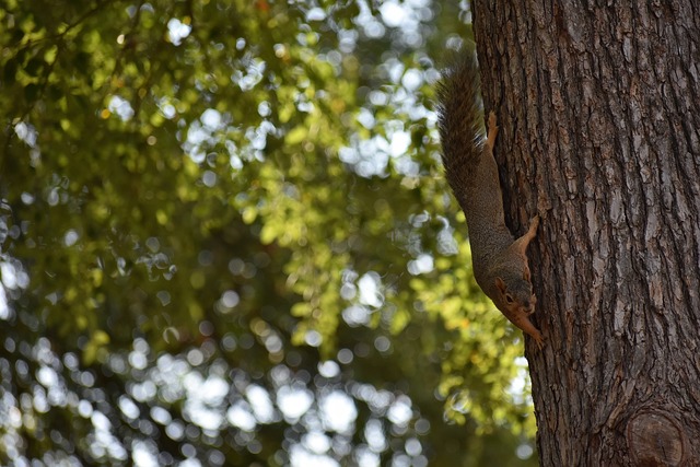 这种全面的 这种全面的