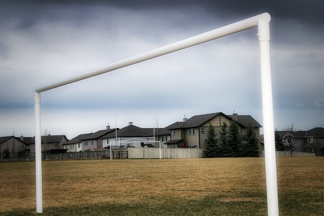 案例分析 案例分析