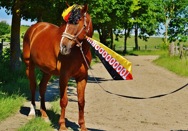 识别到了他 识别到了他