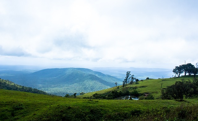 表现出色 表现出色