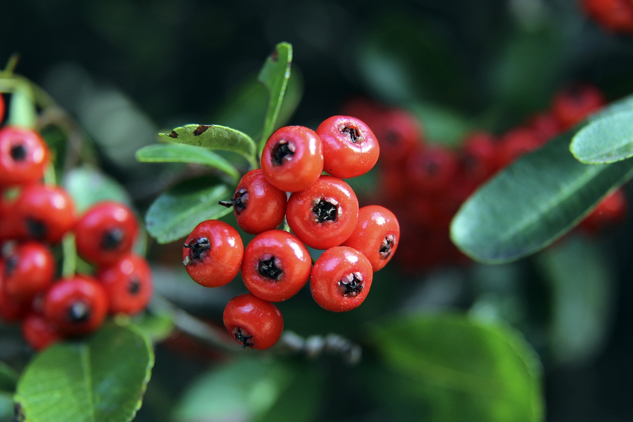 红牌事件不 红牌事件不