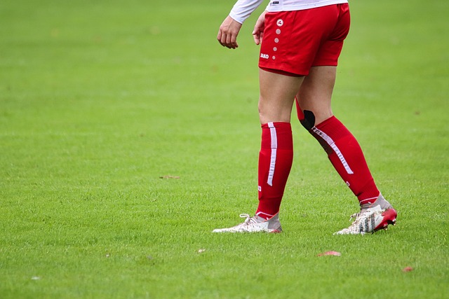 是备受瞩目 是备受瞩目