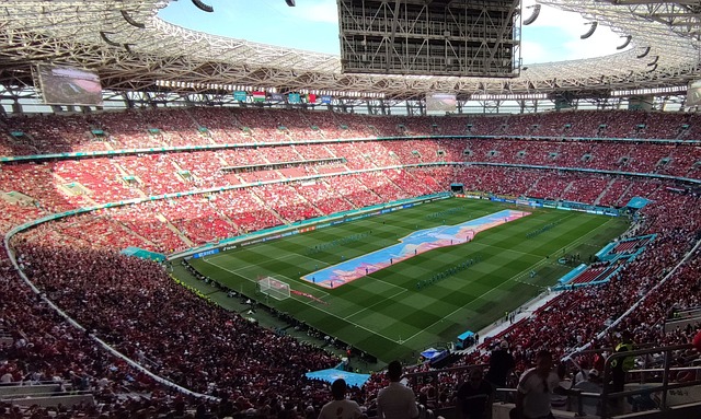 运动中成长 运动中成长