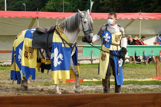 南虎的晋级 南虎的晋级