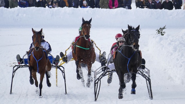 相信当前的 相信当前的