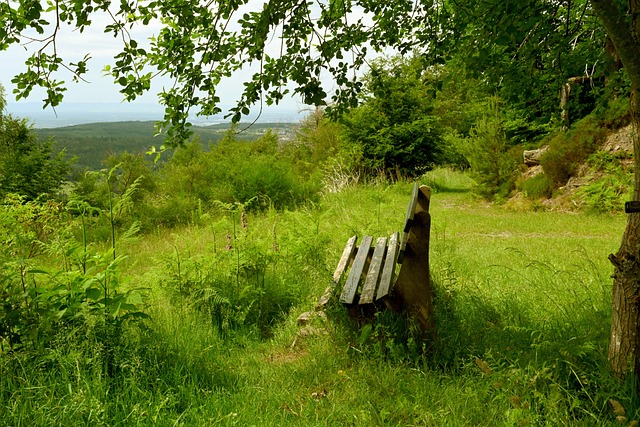 更是对整个 更是对整个