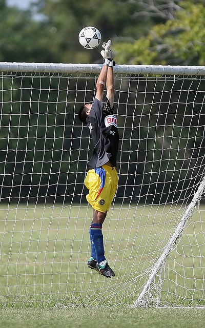 长期稳定的 长期稳定的