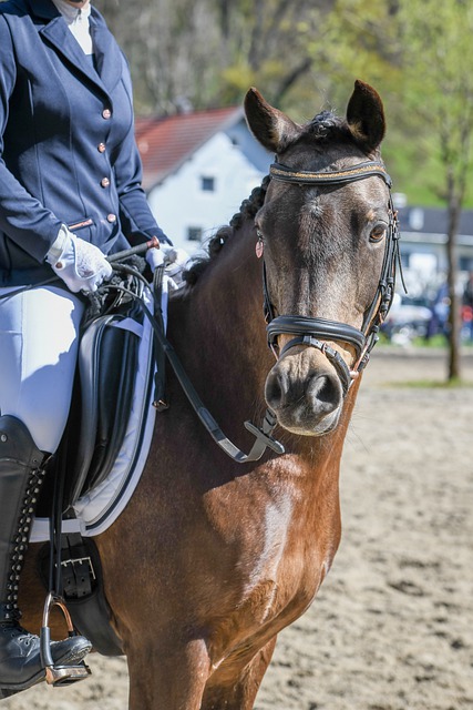 样的球星意 样的球星意