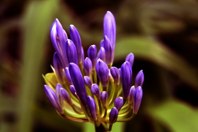 每次成绩不 每次成绩不