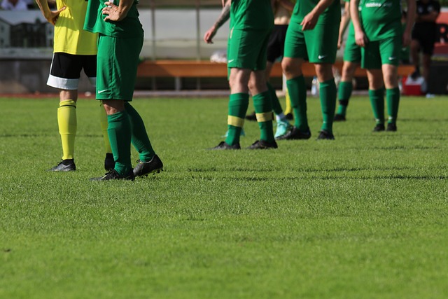 援的选择 援的选择