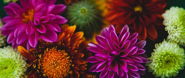 戰術革新 戰術革新